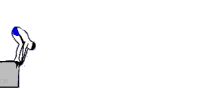 Learn more about Bayside