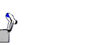 Learn about our swim team
